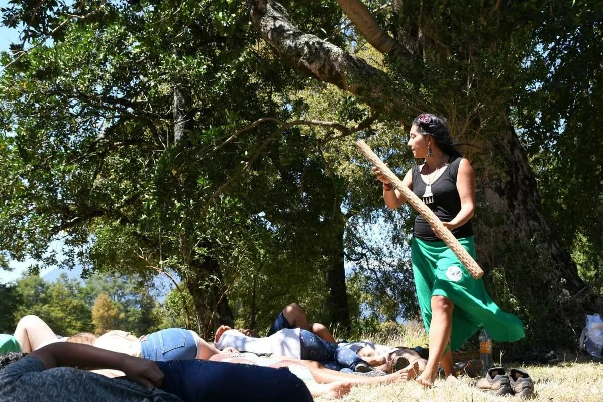 Descanso bajo el árbol grande