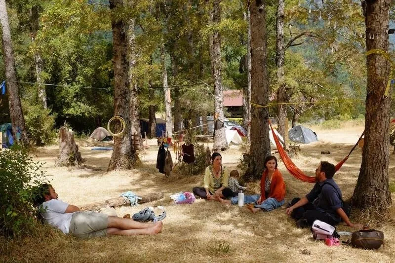 Carpas y hamacas entre los árboles