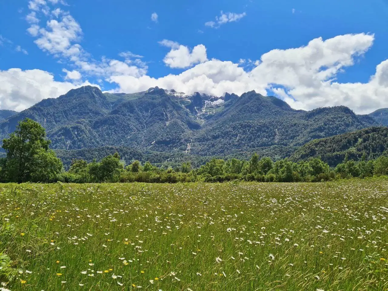 La pradera abierta y la cordillera al fondo